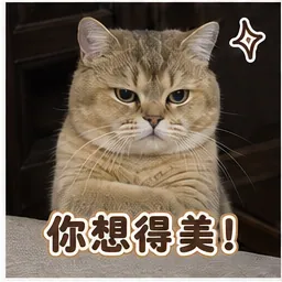 嘟嘟表情包：你想得美