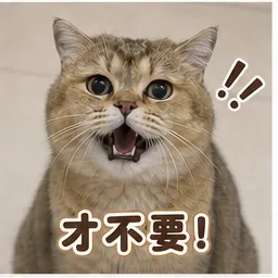 嘟嘟表情包：才不要