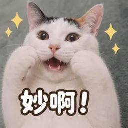 梅西表情包：妙啊
