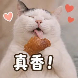 梅西表情包：真香