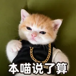 小布表情包：本喵说了算