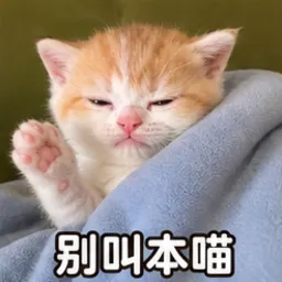 小布表情包：别叫本喵