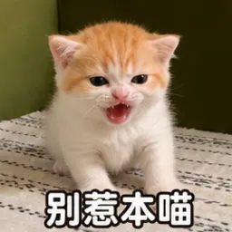 小布表情包：别惹本喵