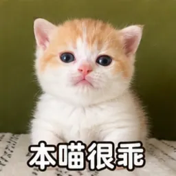 小布表情包：本喵很乖